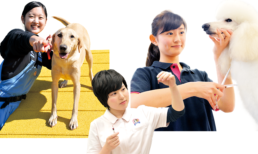 ちば愛犬動物フラワー学園 キャンパスライフ